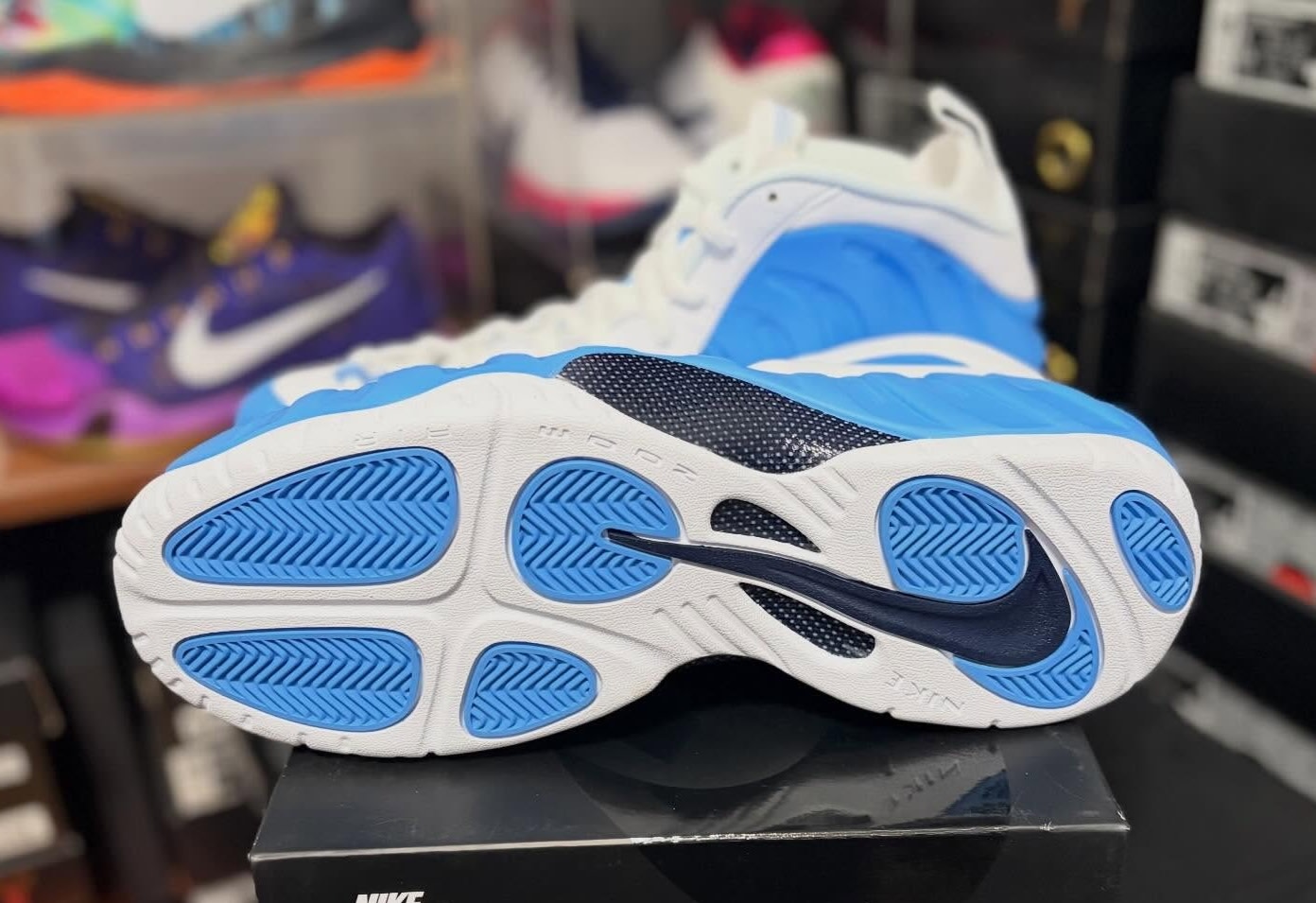 'University Blue' Foamposite Pro